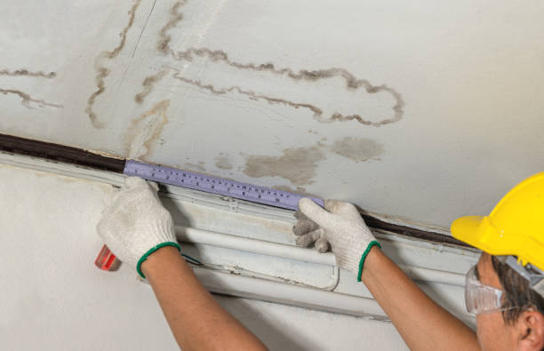 Reliable Burst Pipe Cleanup contractor in Sterling, IL by Water Damage Irwin